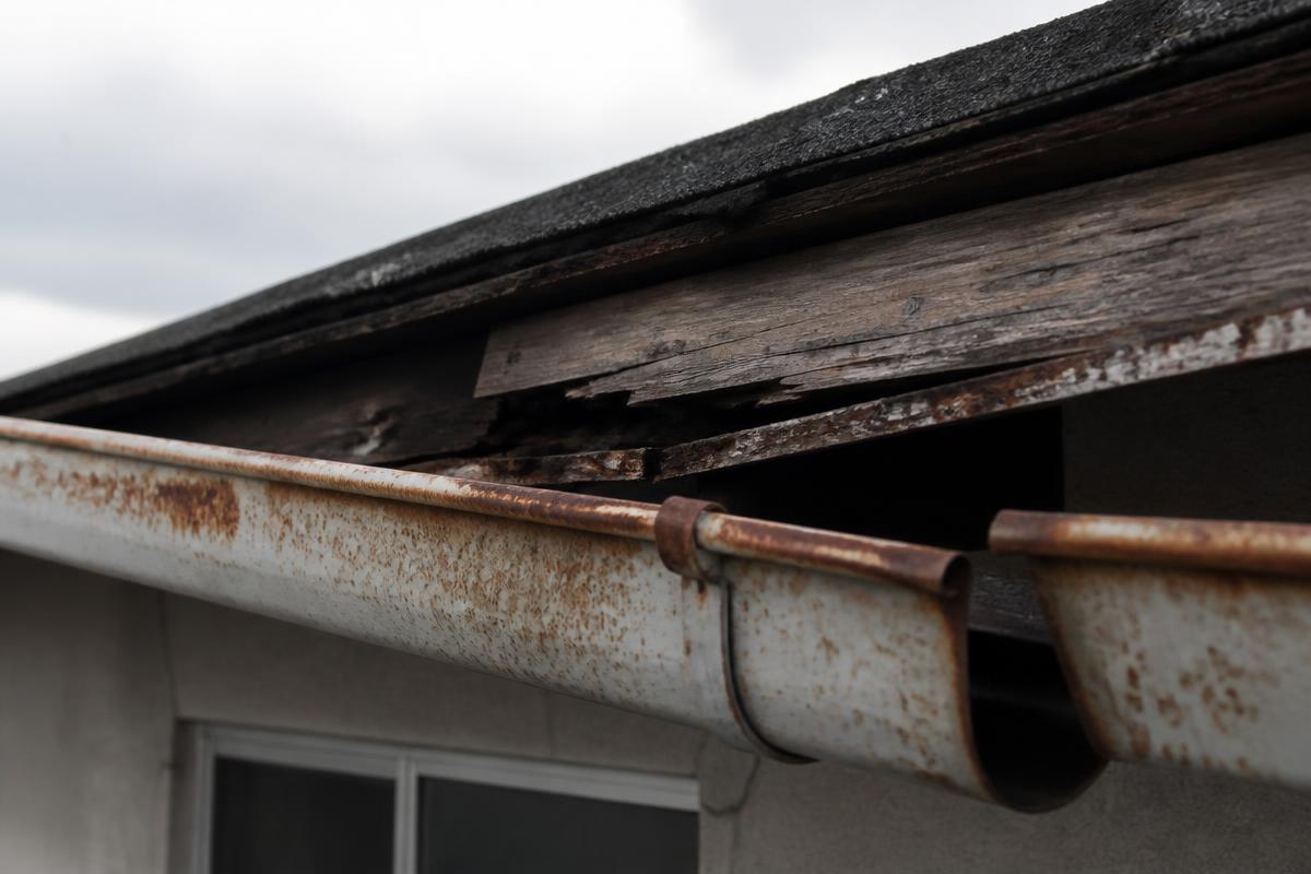 Old rusted gutter sagging away from a rotted wooden fascia board